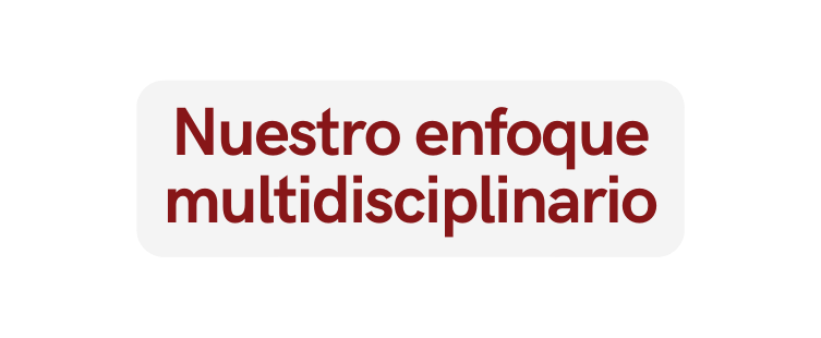 Nuestro enfoque multidisciplinario
